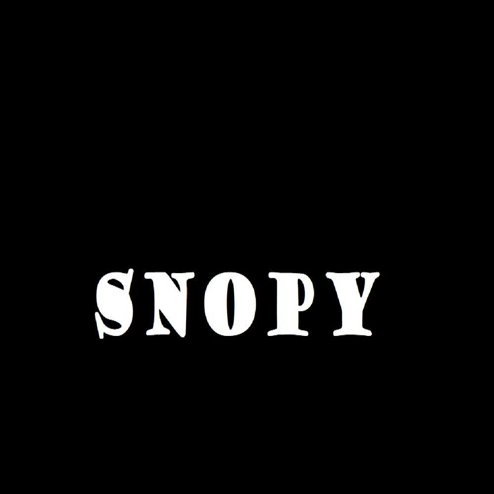 Picture of Snopy