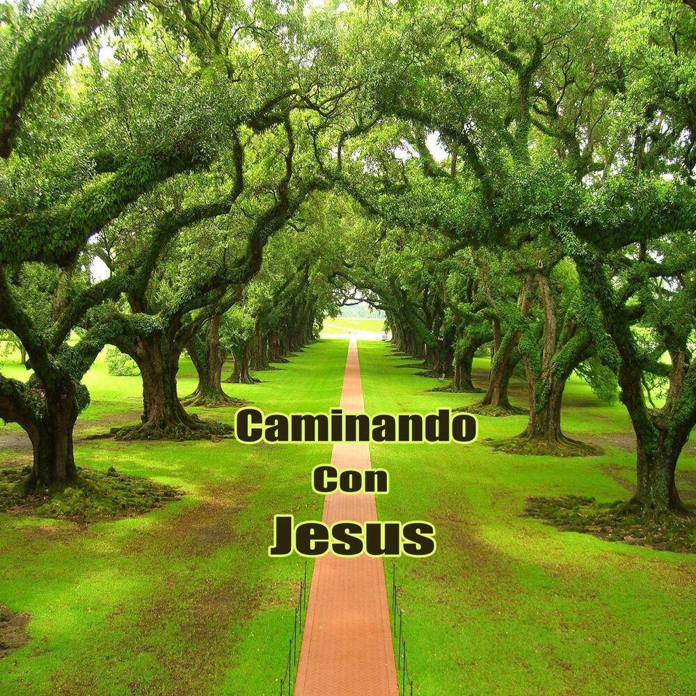 Picture of Caminando Con Jesus
