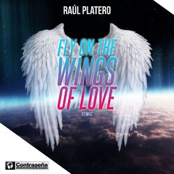 Cover of Fly on the Wings of Love (Remix)