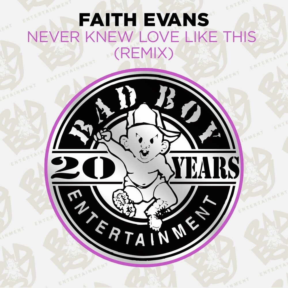Picture of Never Knew Love Like This (Remix)