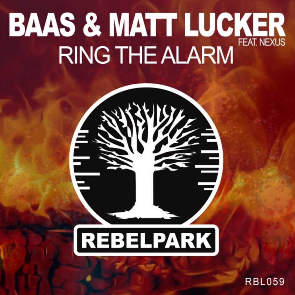 Picture of Ring the Alarm