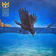 Lost Song (Live at Sydney Opera House)
