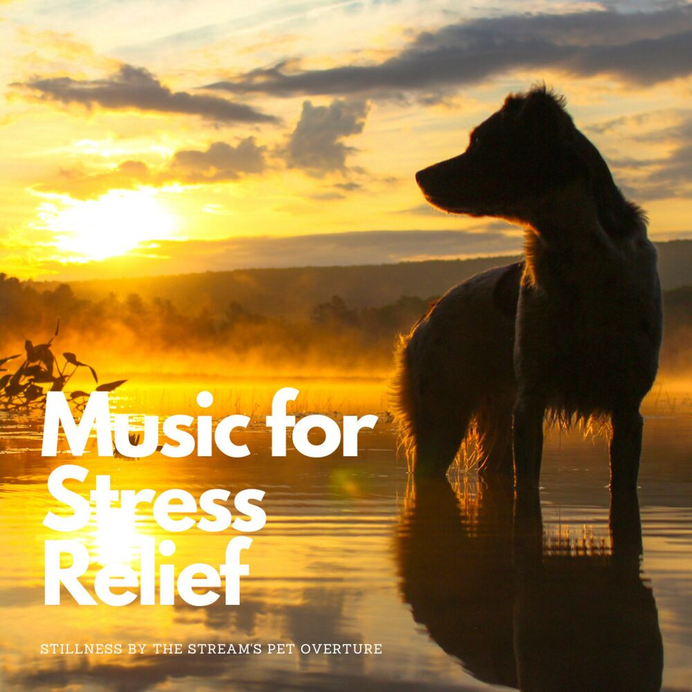 Picture of Music for Stress Relief: Stillness by the Stream's Pet Overture