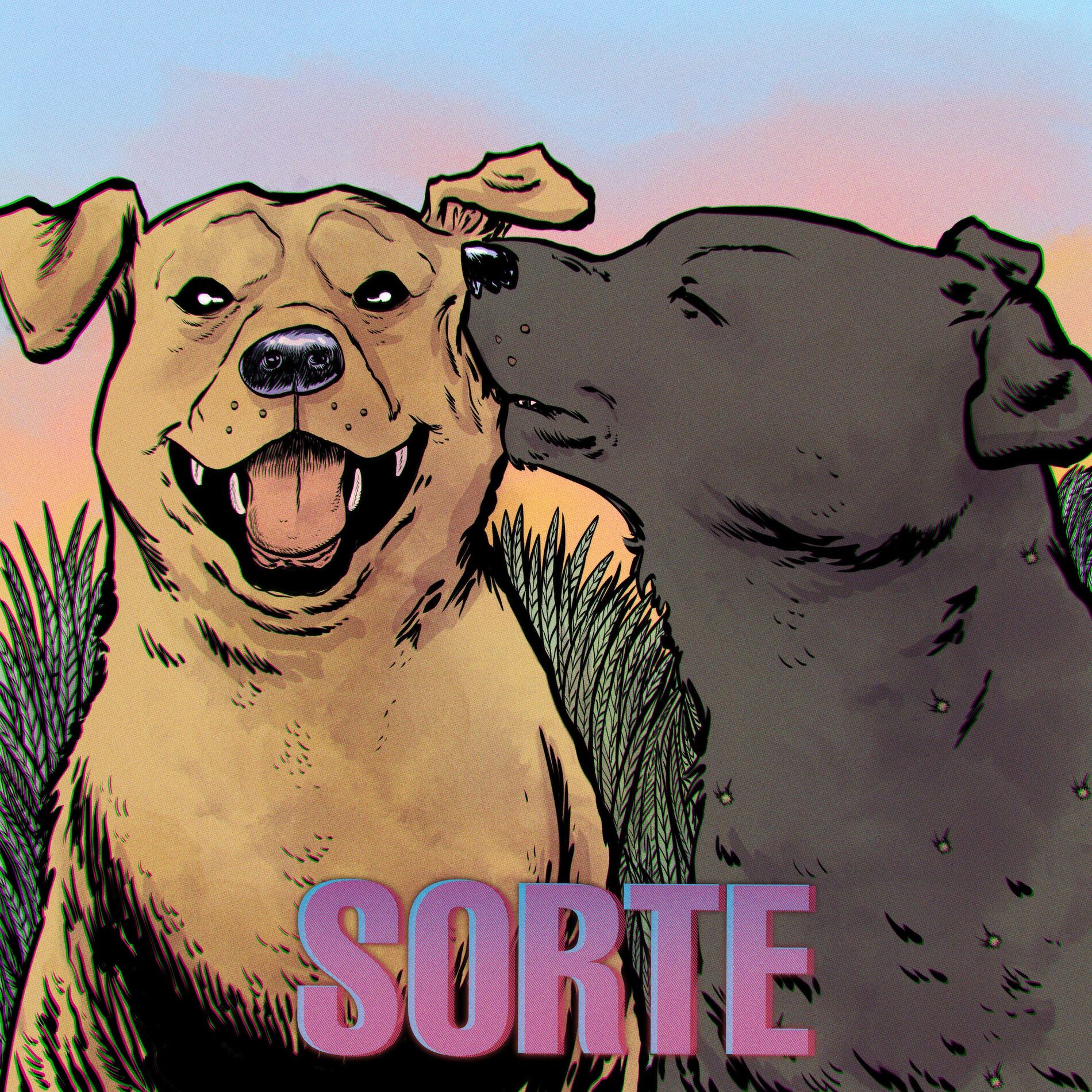 Album cover of Sorte