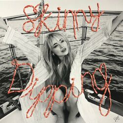 Cover of skinny dipping
