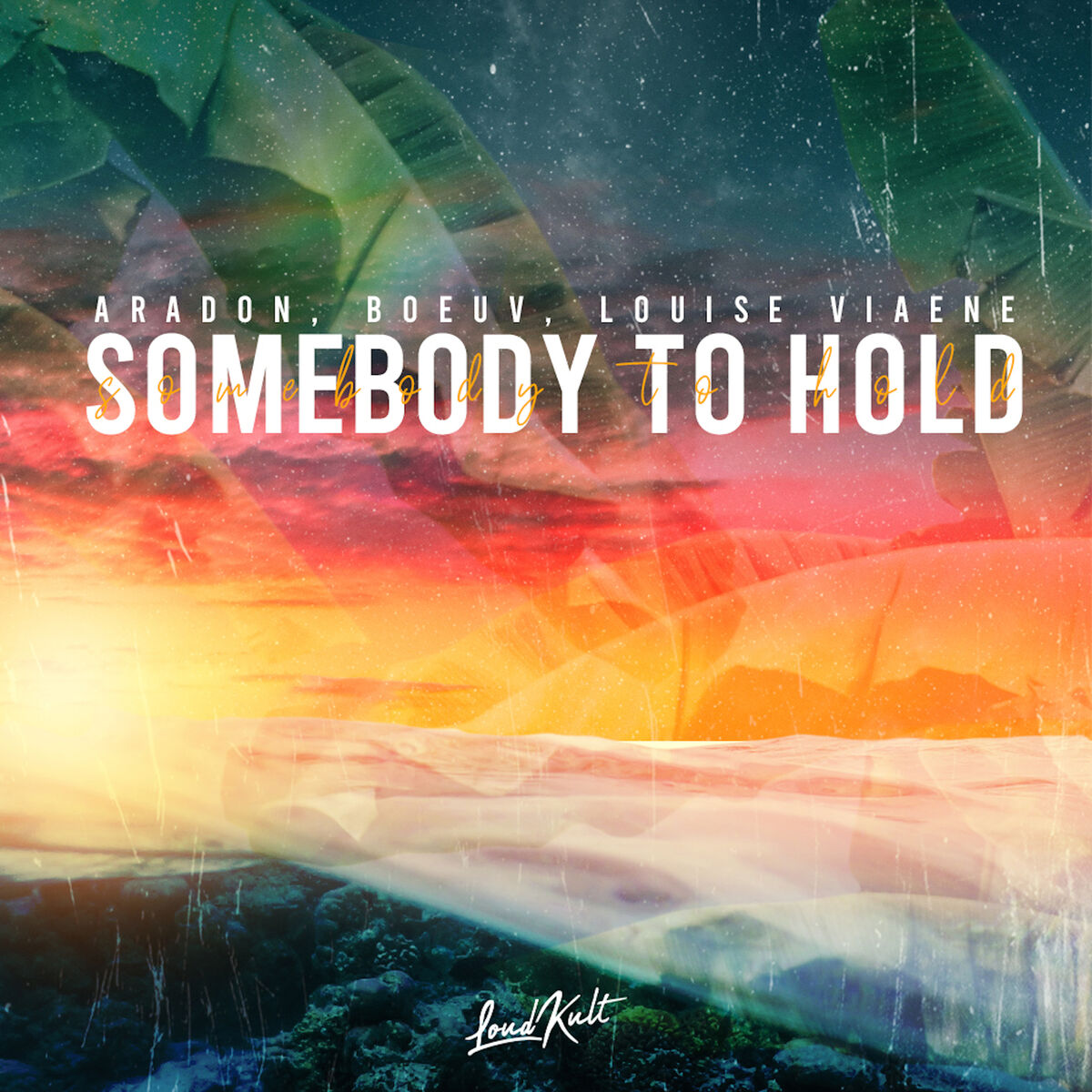 Album cover of Somebody to Hold