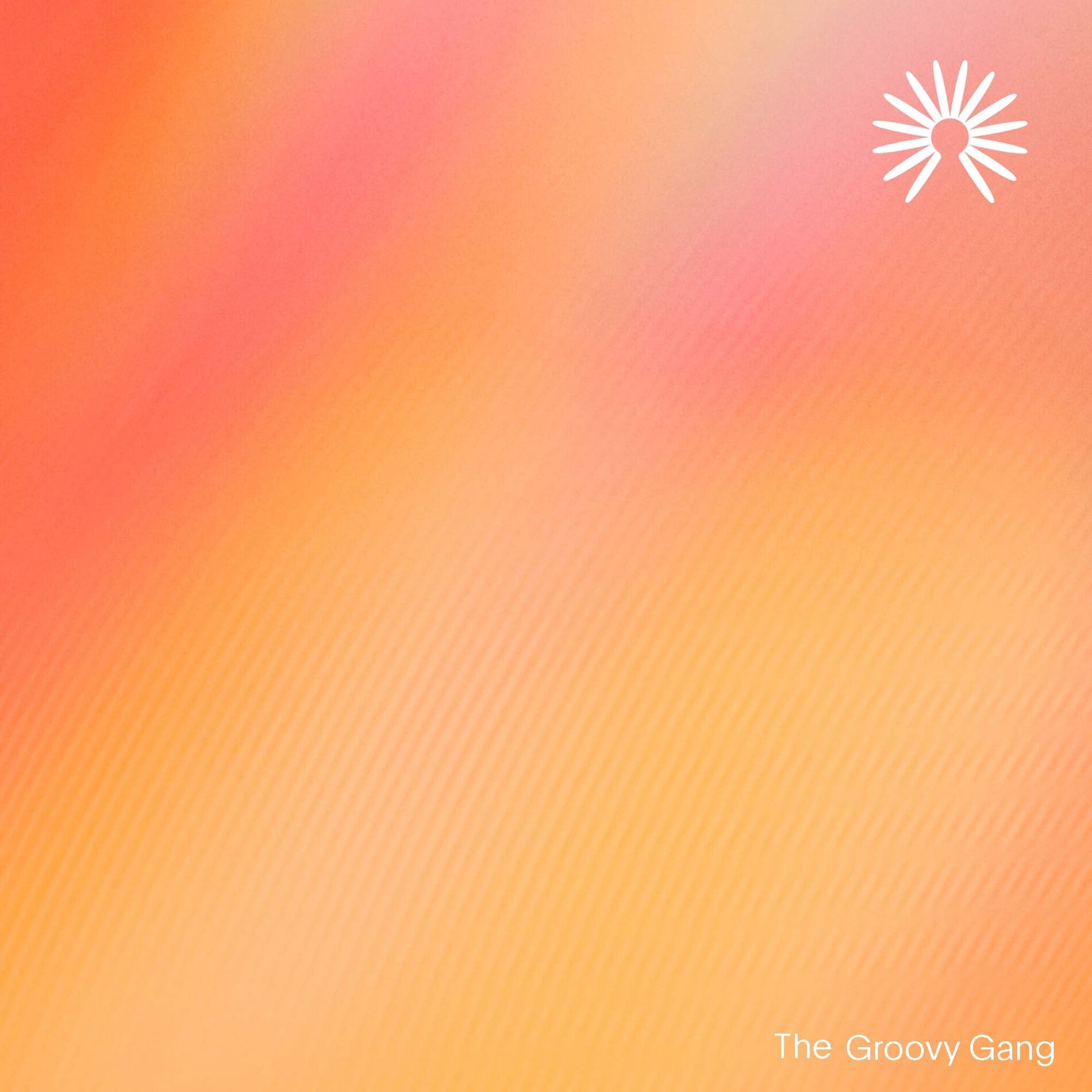 Album cover of The Groovy Gang