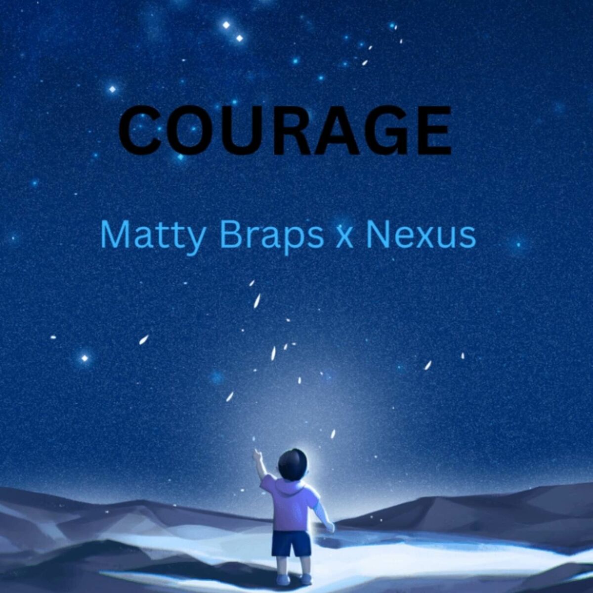 Album cover of Courage