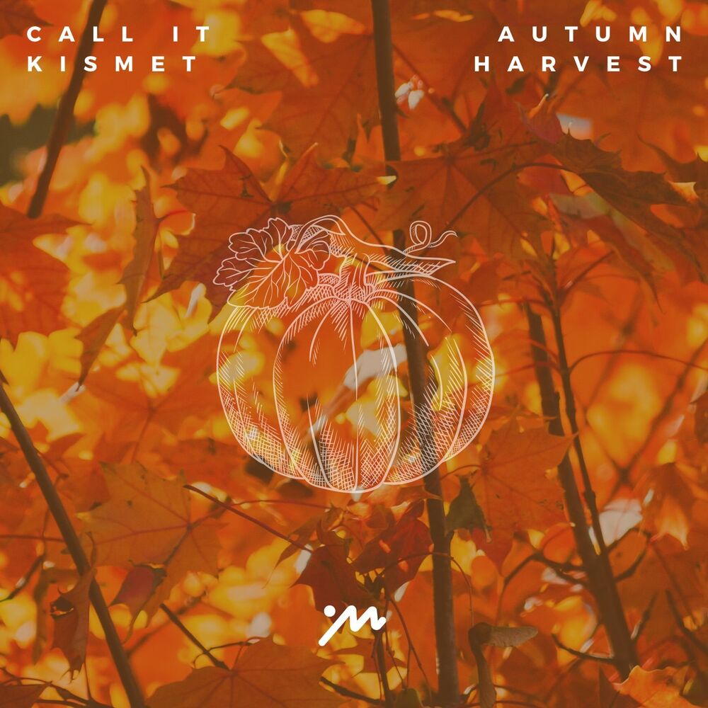 Picture of Autumn Harvest