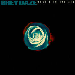 Cover of What's In The Eye