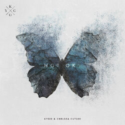 Cover of Not Ok