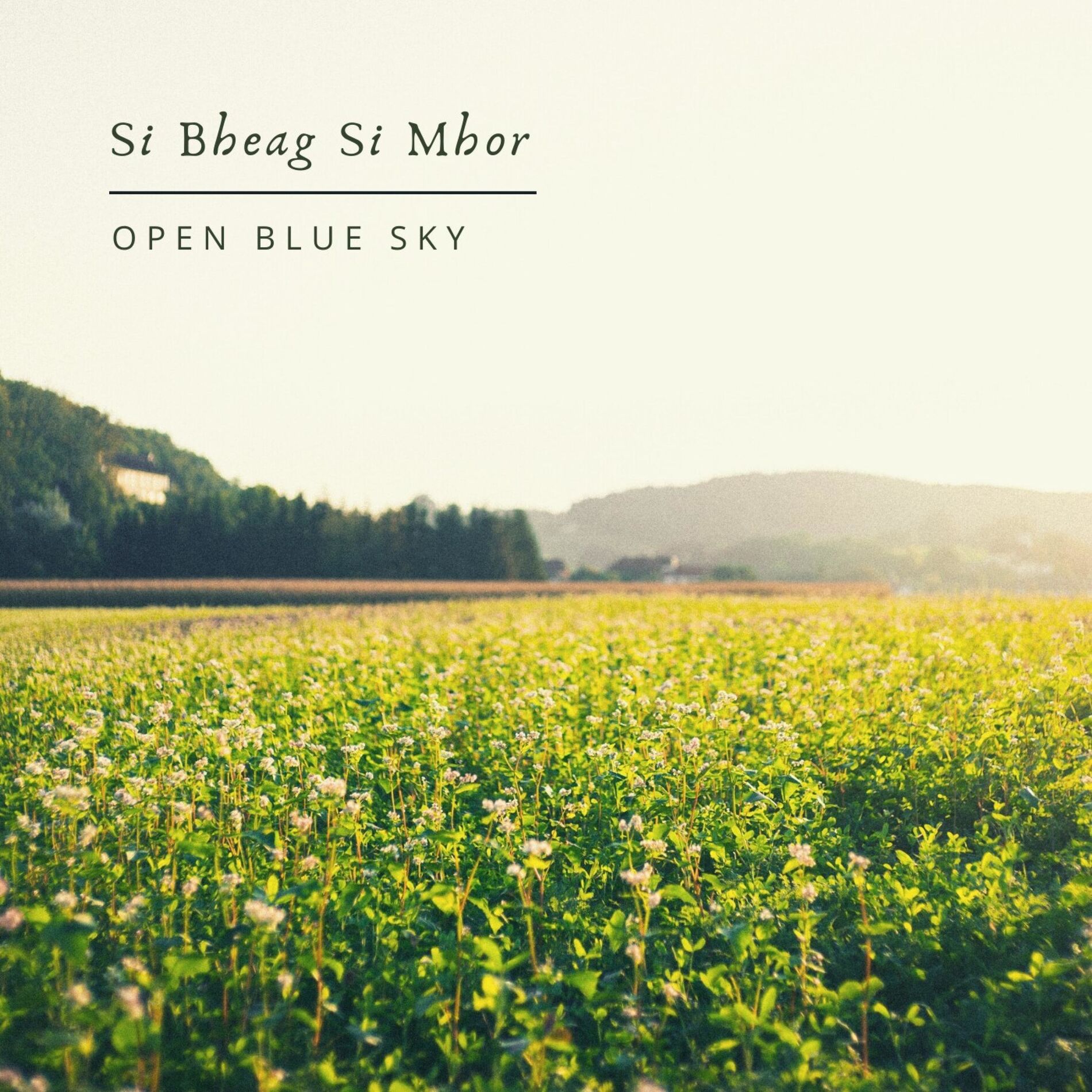 Album cover of Si Bheag Si Mhor (Cello Version)