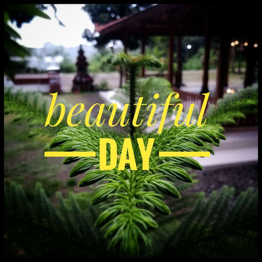 Picture of Beautiful day