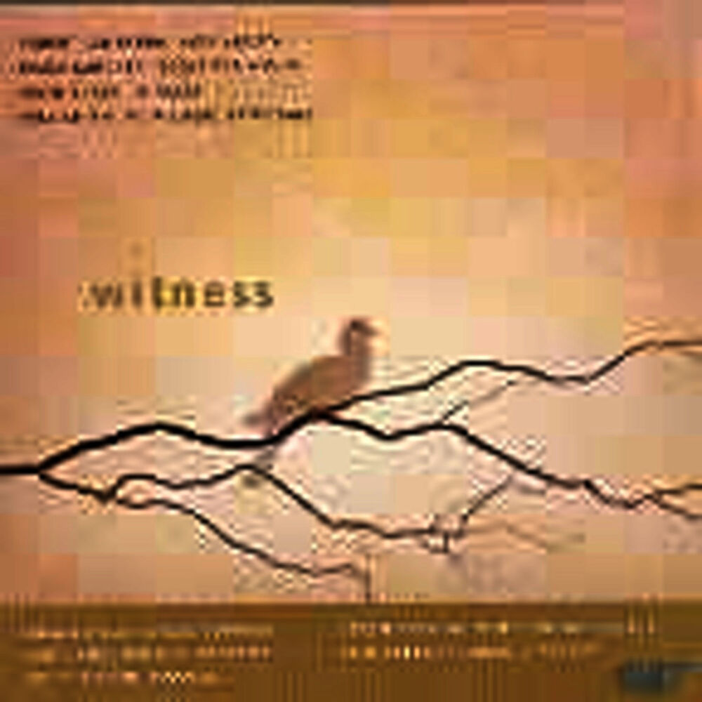 Picture of Witness