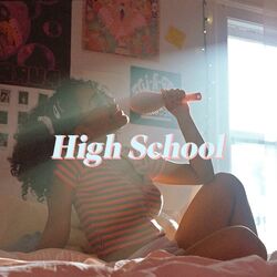 Cover of High School