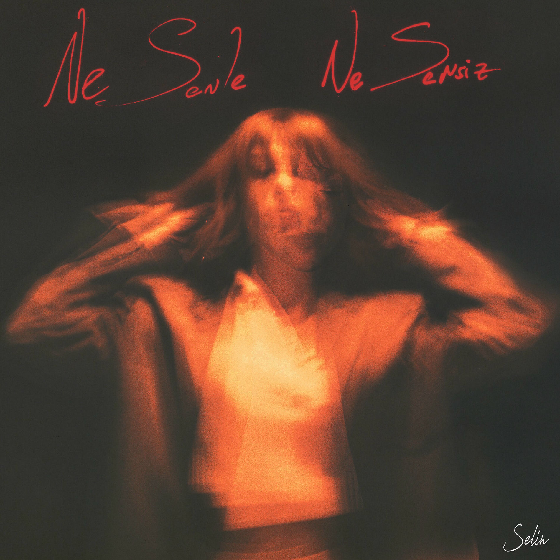Album cover of NE SENLE NE SENSİZ