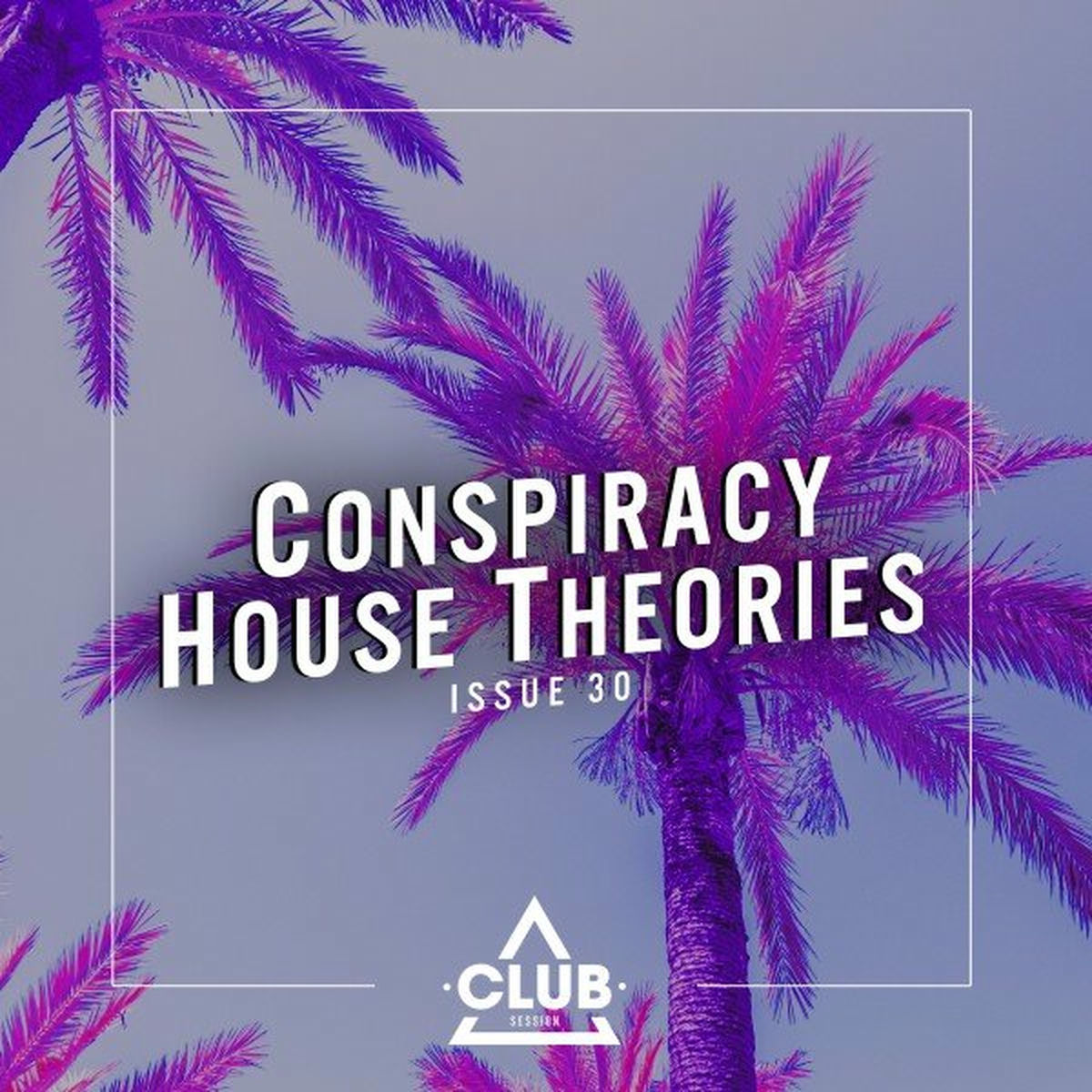 Album cover of Conspiracy House Theories, Issue 30