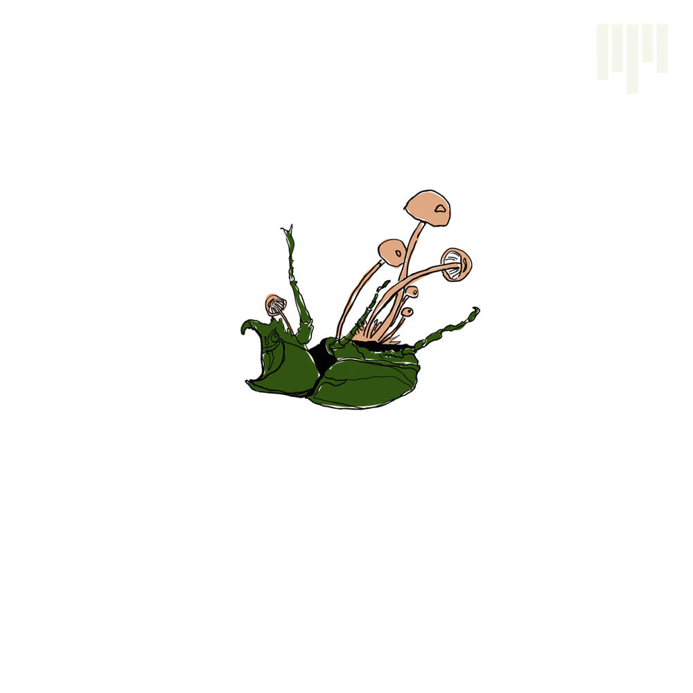 Picture of Maquina - Single