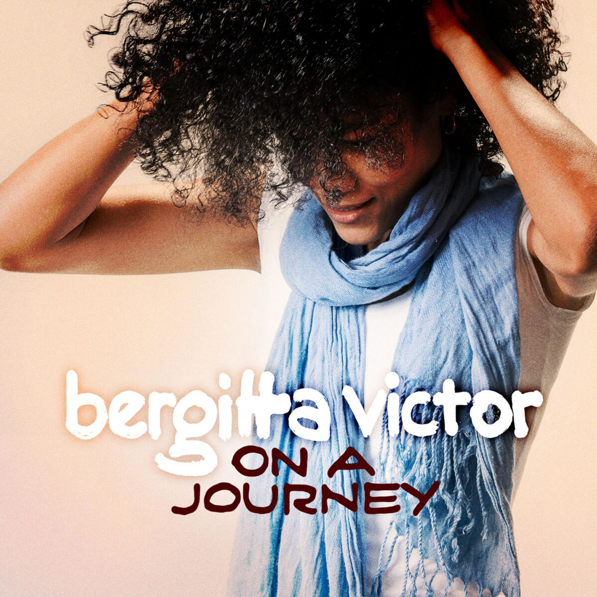 Album cover of On a Journey