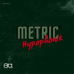 Cover of Metric
