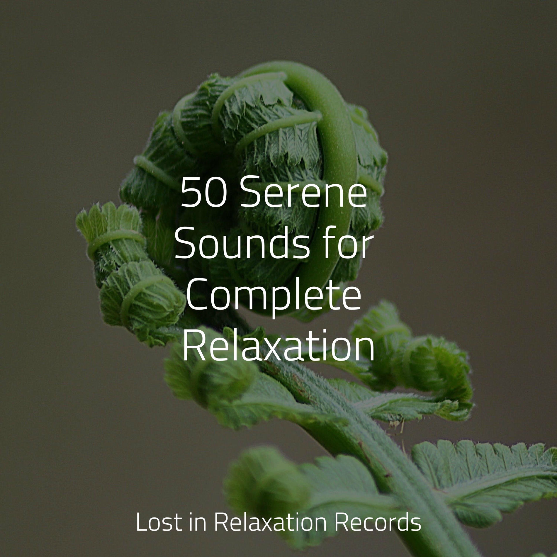 Album cover of 50 Serene Sounds for Complete Relaxation