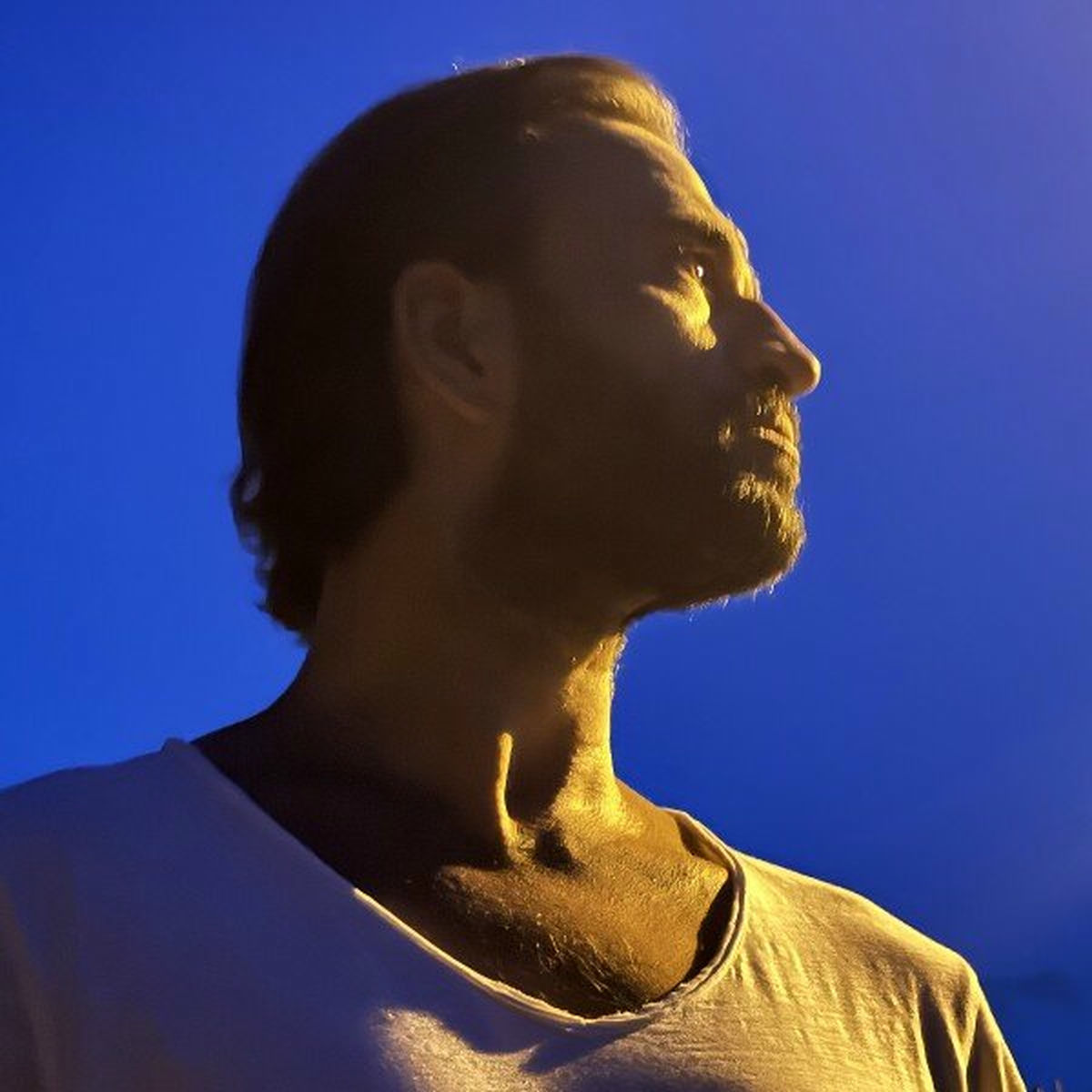 Album cover of Die Ufer der alten Zeit