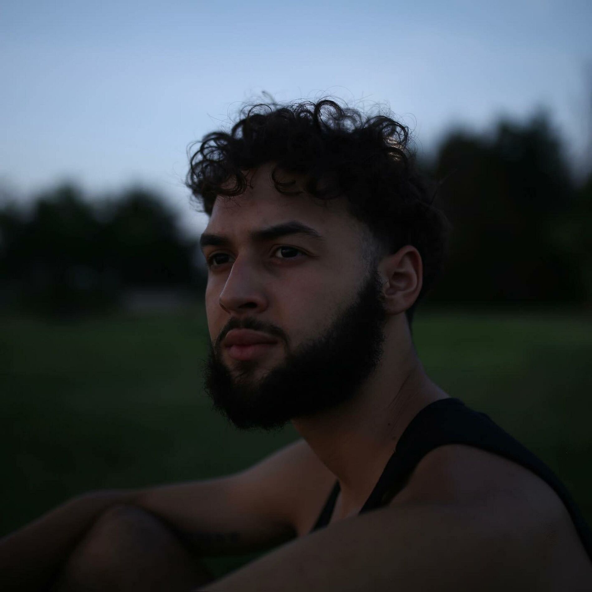 Album cover of Peace
