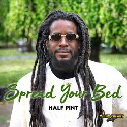 Cover of Spread Your Bed