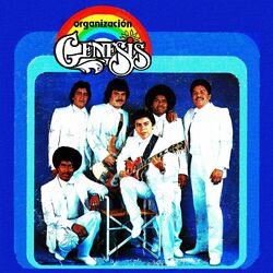 Cover of Organización génesis