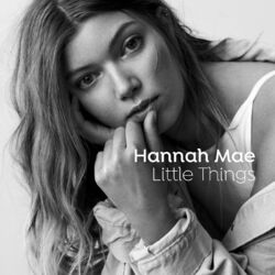 Cover of Little Things