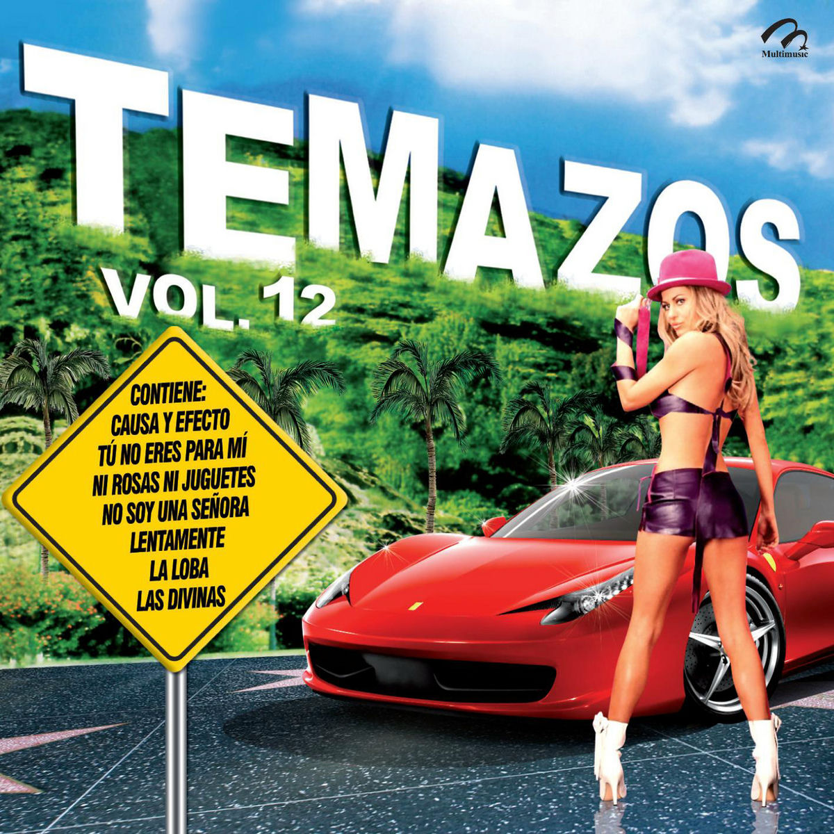 Album cover of Temazos, Vol. 12