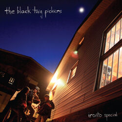 Cover of Ironto Special