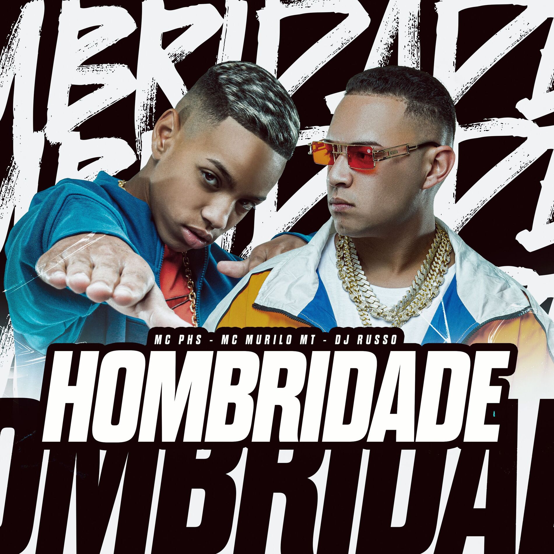Album cover of Hombridade