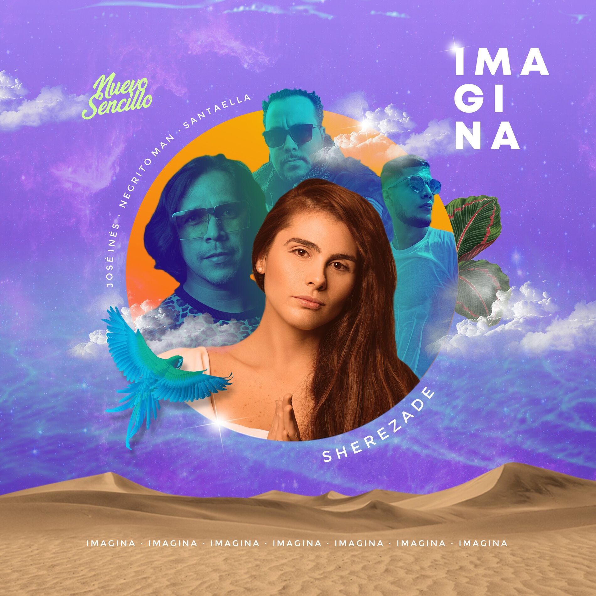 Album cover of Imagina