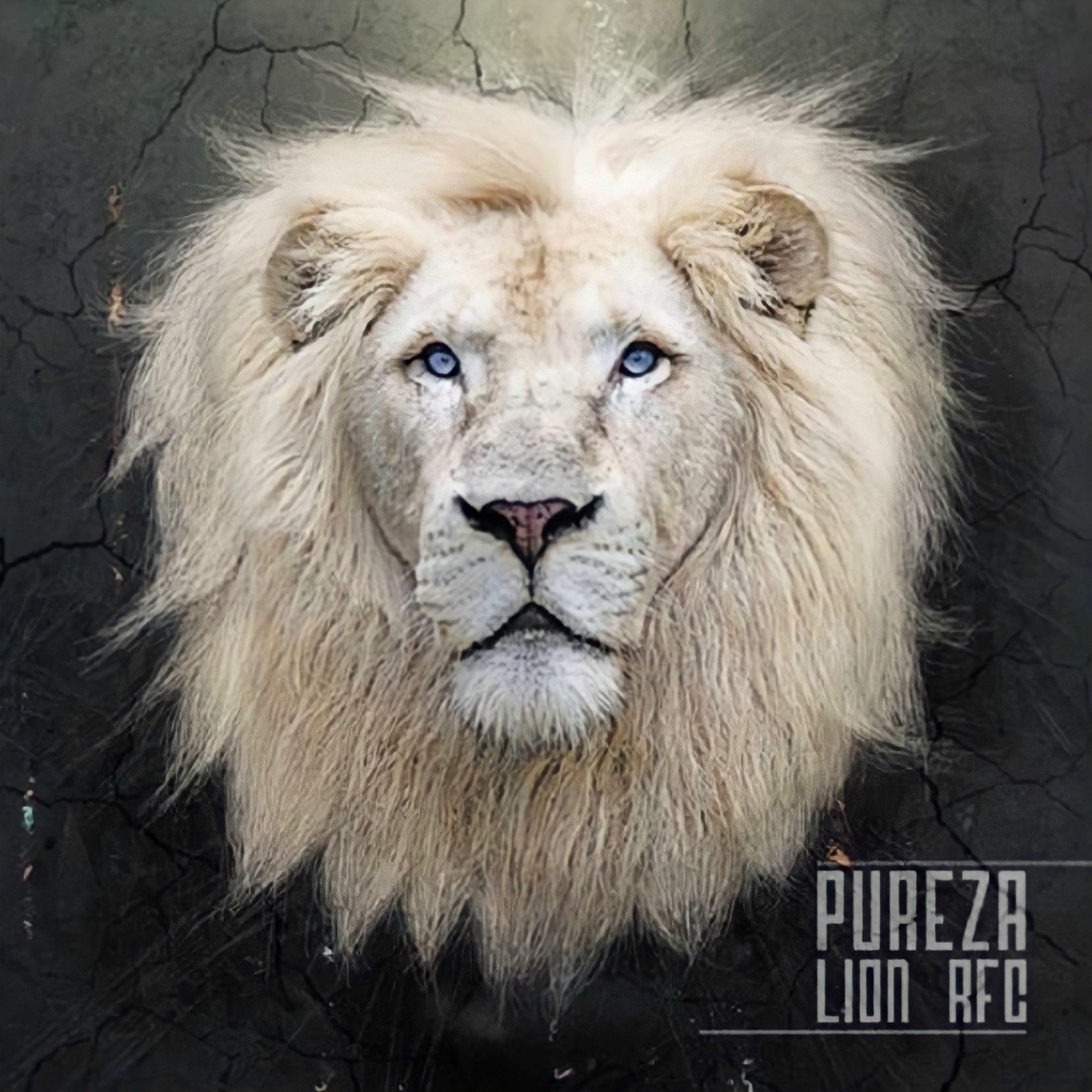Album cover of Pureza