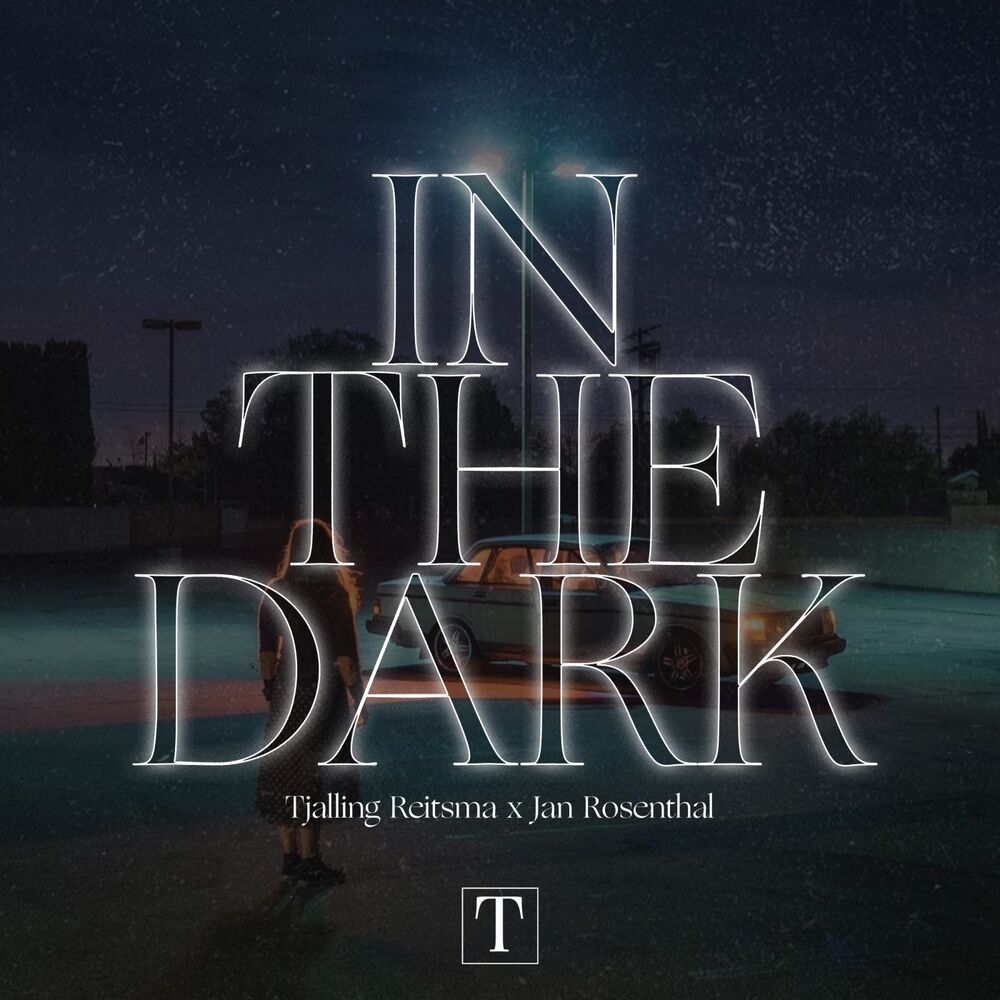 Picture of In The Dark