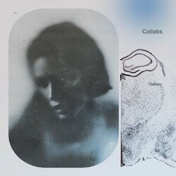 Cover of Collabs