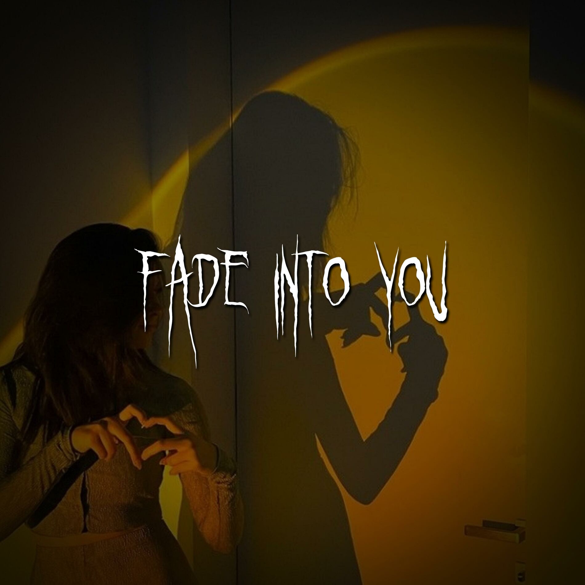 Album cover of fade into you