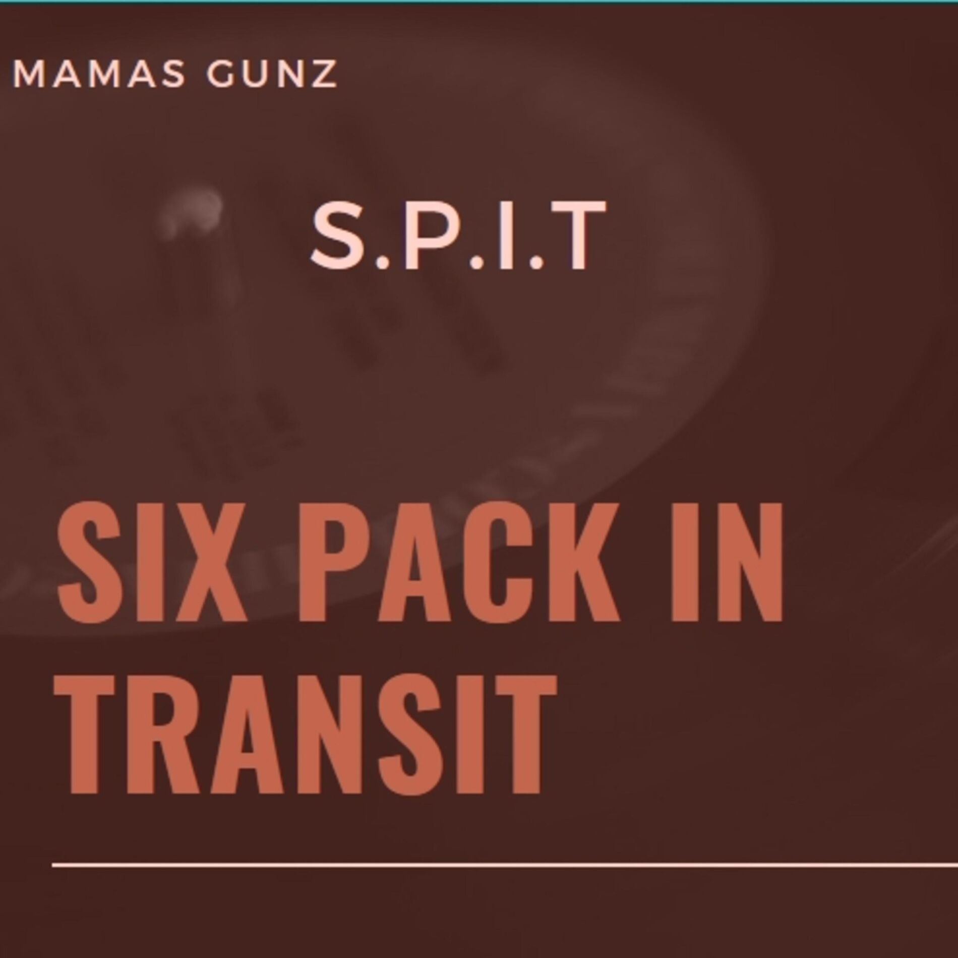 Album cover of S.P.I.T Six Pack in Transit
