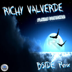 Cover of Flying Together