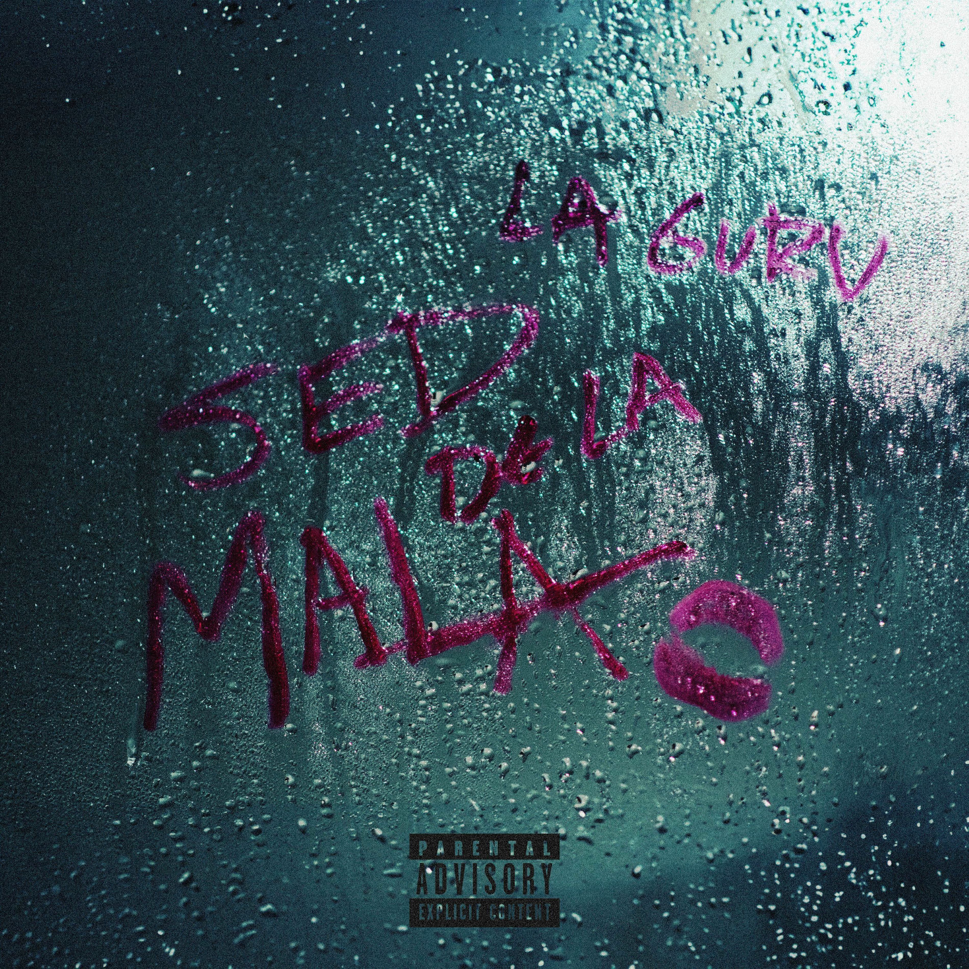 Album cover of SDLM