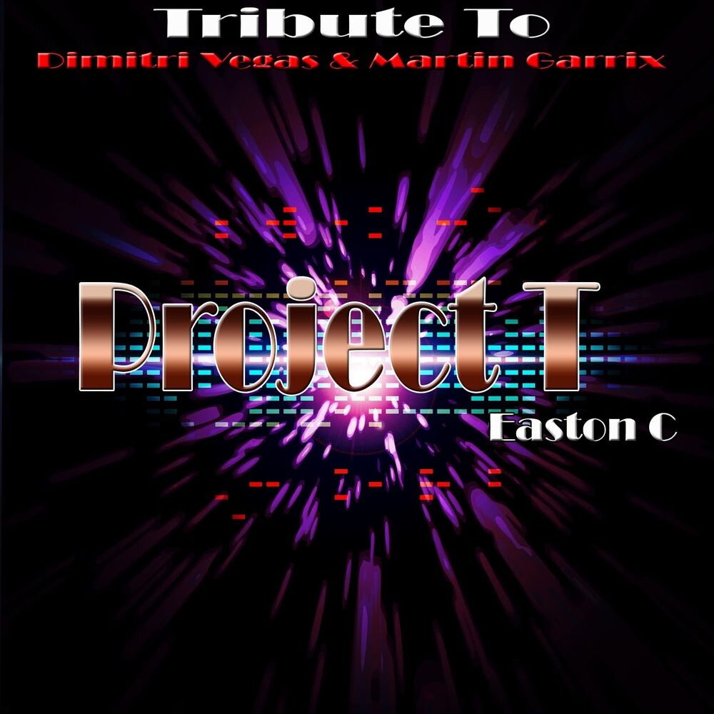 Picture of Project T: Tribute to Dimitri Vegas & Martin Garrix