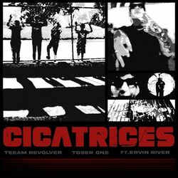 Cover of Cicatrices