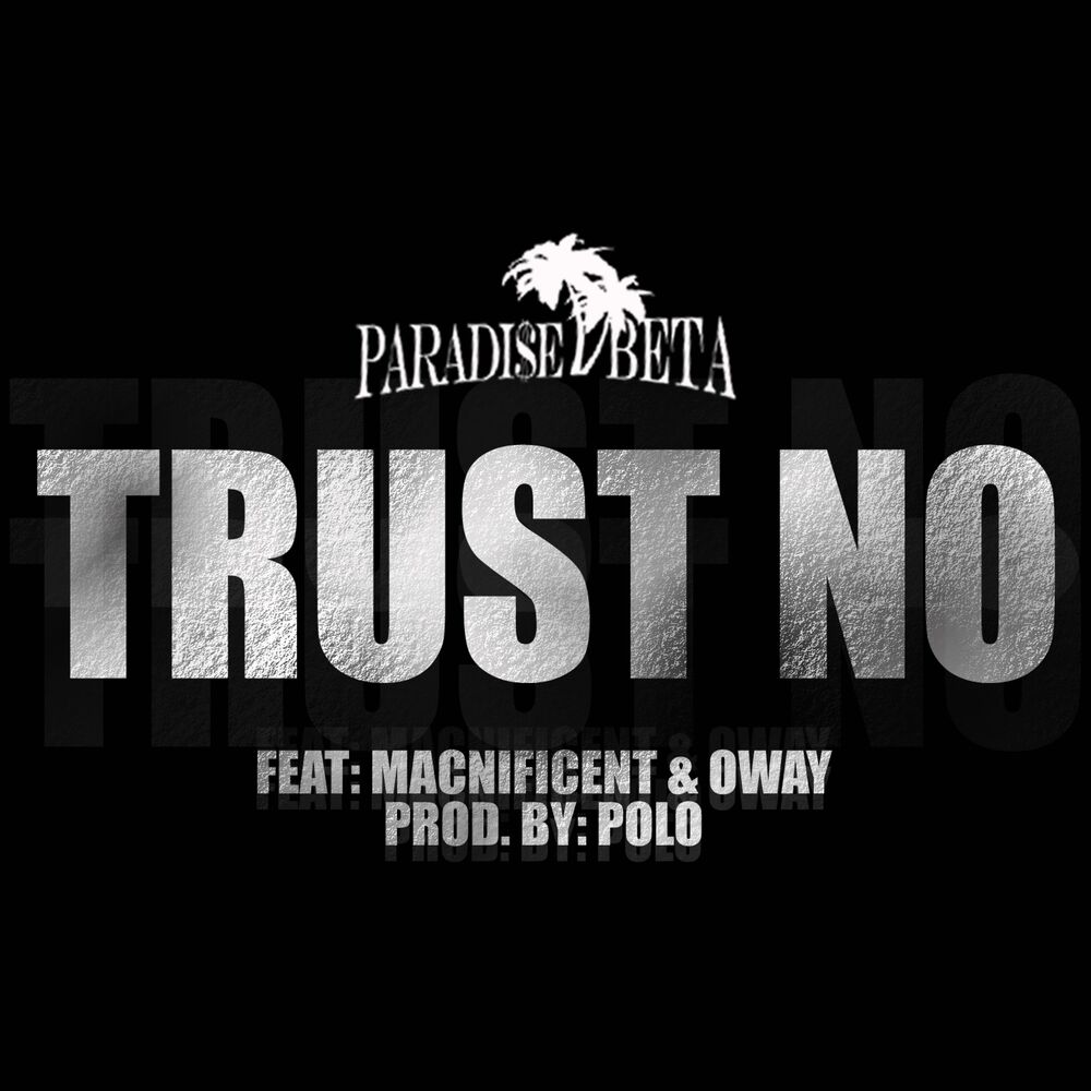 Picture of Trust No (feat. Macnificent & Oway)