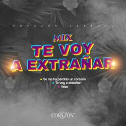Cover of Mix Te Voy A Extrañar: Se Me Ha Perdido Un Corazón / Te Voy a Extrañar / Vete (En Vivo)