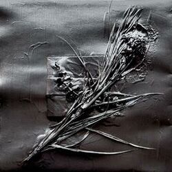 Cover of Various Grooves V