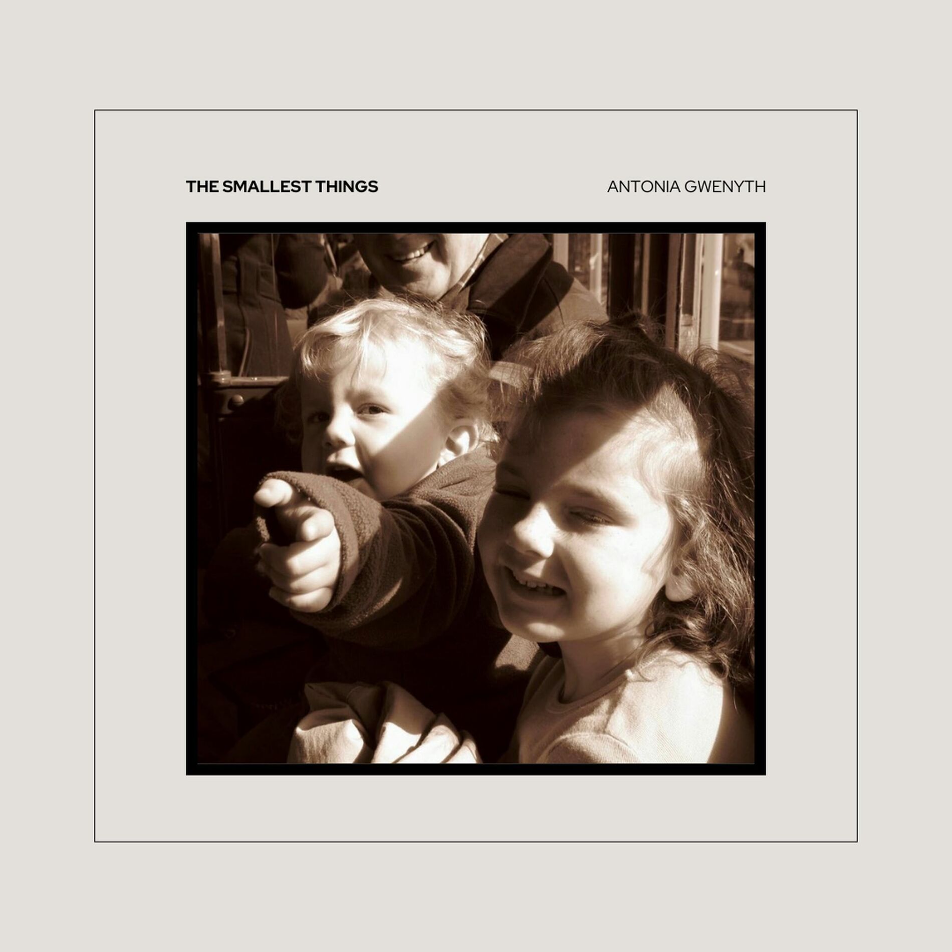 Album cover of the smallest things