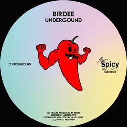 Cover of Undergound