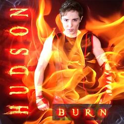 Cover of Burn