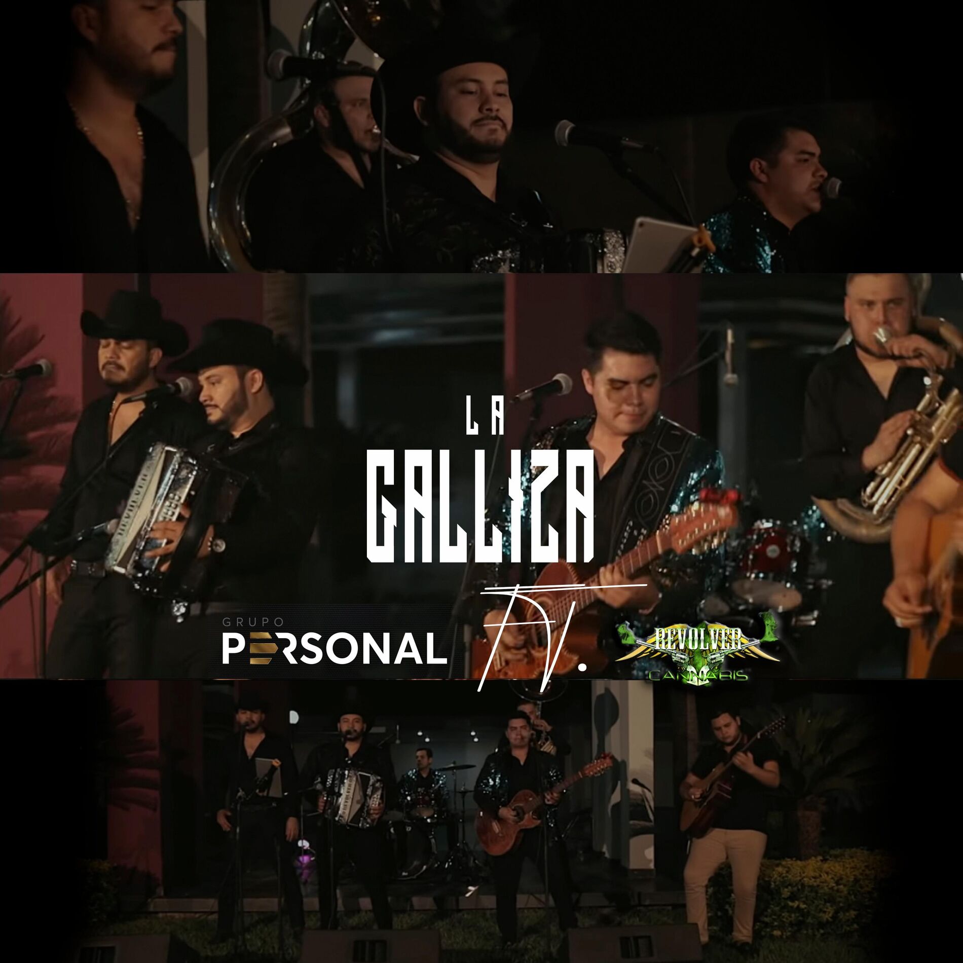 Album cover of La Galliza (feat. Revolver Cannabis)